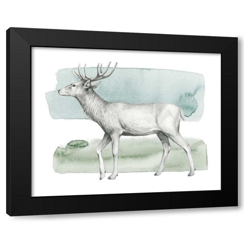 Animale IV Black Modern Wood Framed Art Print by Popp, Grace