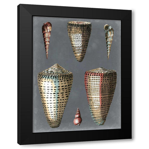 Midnight Shells I Black Modern Wood Framed Art Print with Double Matting by Redoute, Pierre