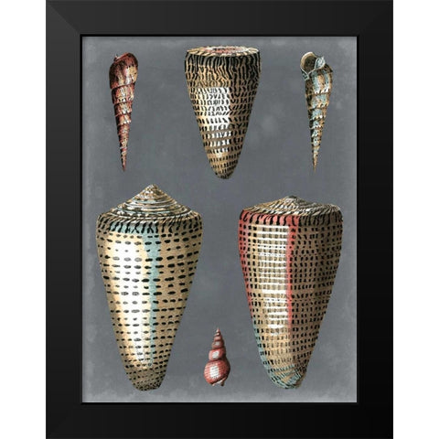 Midnight Shells I Black Modern Wood Framed Art Print by Redoute, Pierre