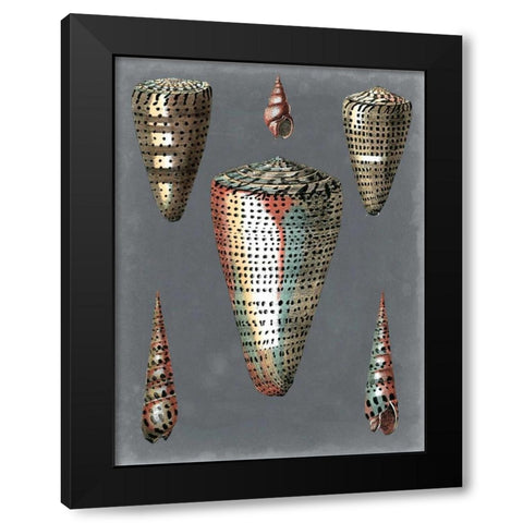 Midnight Shells II Black Modern Wood Framed Art Print with Double Matting by Redoute, Pierre