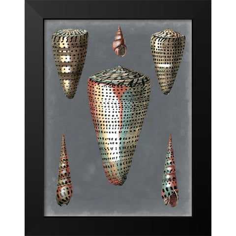 Midnight Shells II Black Modern Wood Framed Art Print by Redoute, Pierre