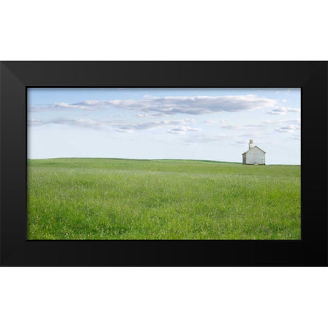 Farm and Country I Black Modern Wood Framed Art Print by McLoughlin, James