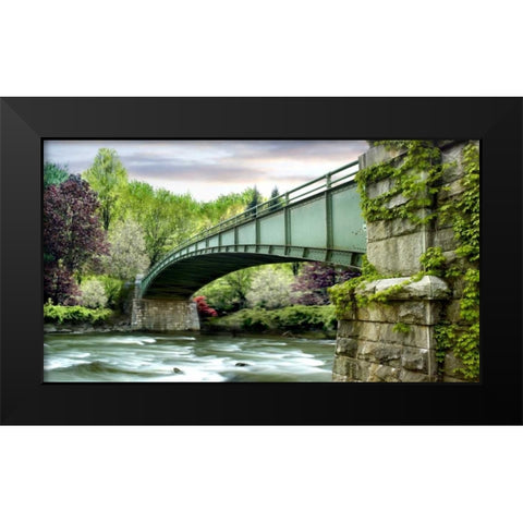 Farm and Country III Black Modern Wood Framed Art Print by McLoughlin, James