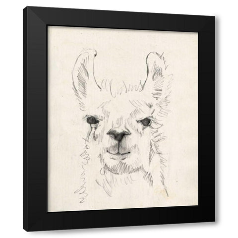 Llama Portrait I Black Modern Wood Framed Art Print by Goldberger, Jennifer