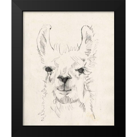 Llama Portrait I Black Modern Wood Framed Art Print by Goldberger, Jennifer