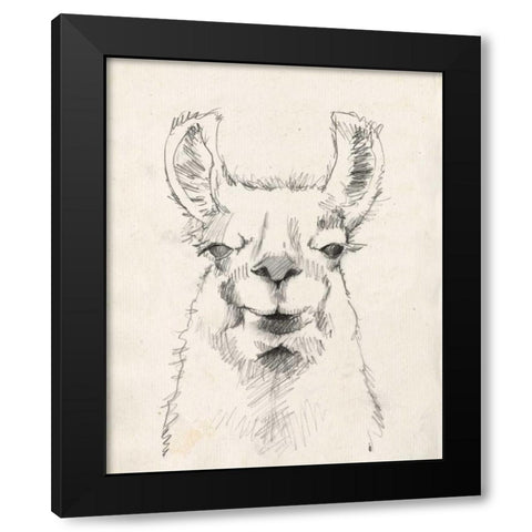 Llama Portrait II Black Modern Wood Framed Art Print with Double Matting by Goldberger, Jennifer