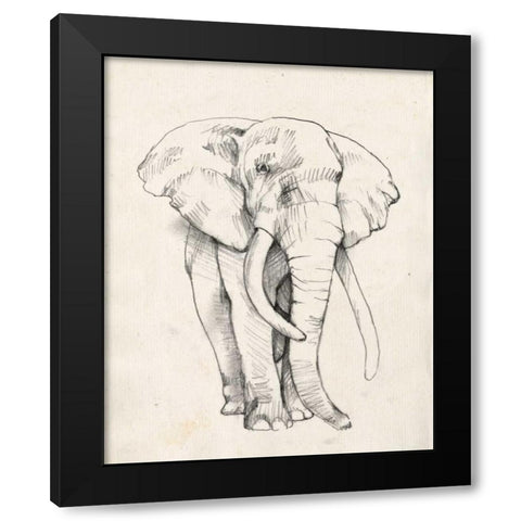 Elephant Portrait II Black Modern Wood Framed Art Print with Double Matting by Goldberger, Jennifer