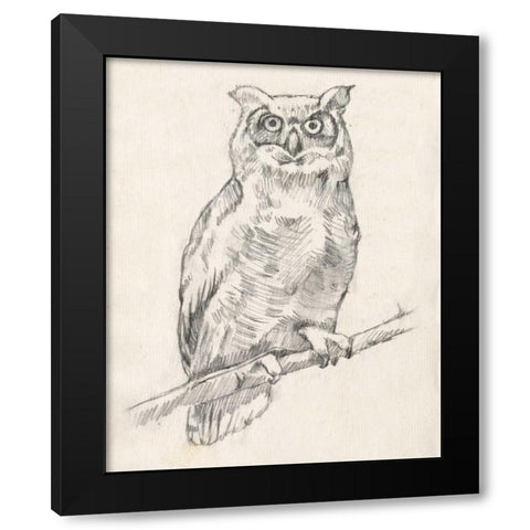 Owl Portrait I Black Modern Wood Framed Art Print by Goldberger, Jennifer