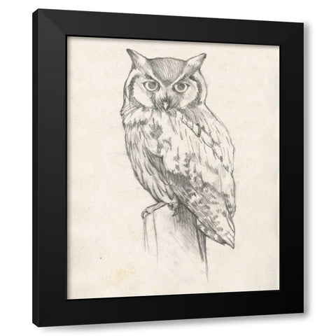 Owl Portrait II Black Modern Wood Framed Art Print by Goldberger, Jennifer