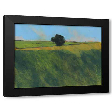 Lone Hedgerow Tree Black Modern Wood Framed Art Print with Double Matting by Bailey, Paul