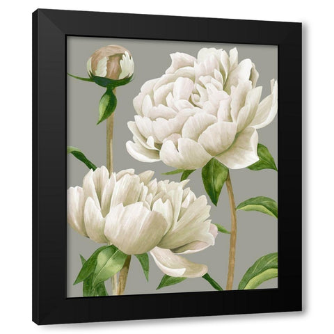 White Peonies I Black Modern Wood Framed Art Print by Popp, Grace