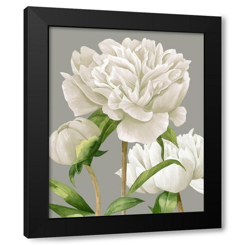 White Peonies II Black Modern Wood Framed Art Print by Popp, Grace