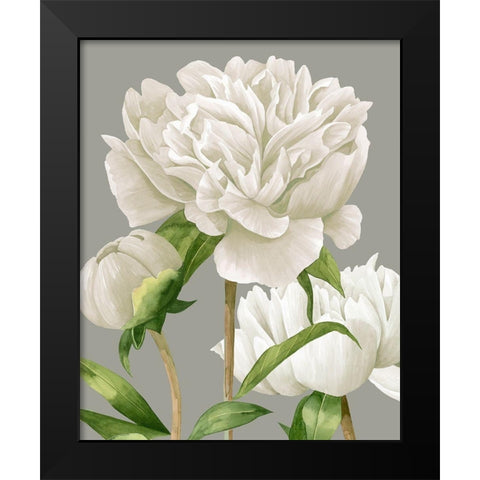White Peonies II Black Modern Wood Framed Art Print by Popp, Grace