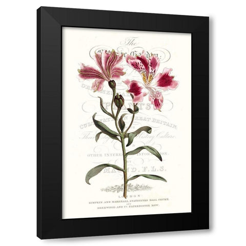 Flower Garden Varietals II Black Modern Wood Framed Art Print by Vision Studio