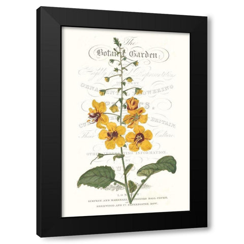 Flower Garden Varietals V Black Modern Wood Framed Art Print by Vision Studio