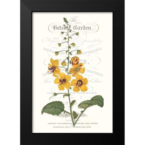 Flower Garden Varietals V Black Modern Wood Framed Art Print by Vision Studio