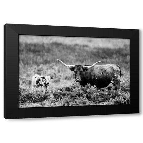 B and W Longhorn II Black Modern Wood Framed Art Print with Double Matting by Stockton, Tyler