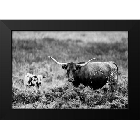 B and W Longhorn II Black Modern Wood Framed Art Print by Stockton, Tyler