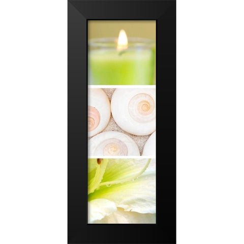 Facets of Spring II Black Modern Wood Framed Art Print by Orlov, Irena