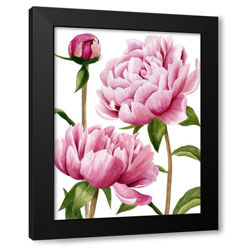 Winsome Peonies I Black Modern Wood Framed Art Print with Double Matting by Popp, Grace