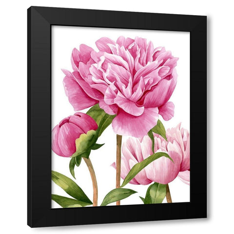 Winsome Peonies II Black Modern Wood Framed Art Print by Popp, Grace