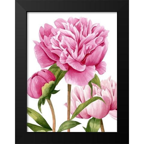 Winsome Peonies II Black Modern Wood Framed Art Print by Popp, Grace
