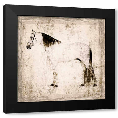 White Horse II Black Modern Wood Framed Art Print by Orlov, Irena