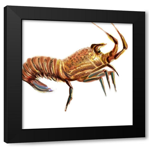 Illustrated Lobster II Black Modern Wood Framed Art Print with Double Matting by Novak, Rick