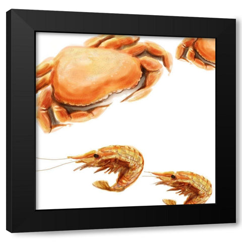 Illustrated Crab Black Modern Wood Framed Art Print with Double Matting by Novak, Rick