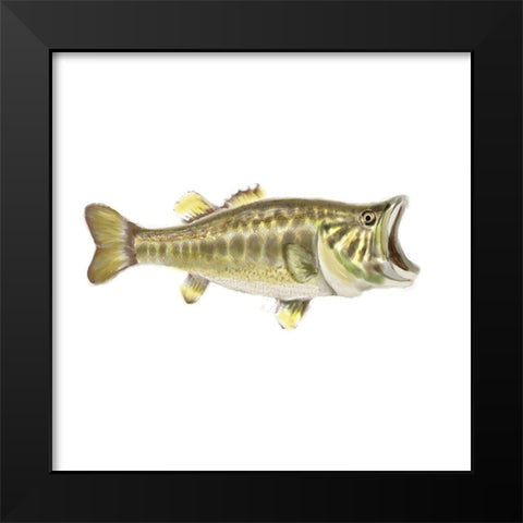 Illustrated Bass Black Modern Wood Framed Art Print by Novak, Rick