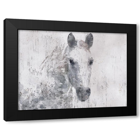 Dapple Horse I Black Modern Wood Framed Art Print with Double Matting by Orlov, Irena