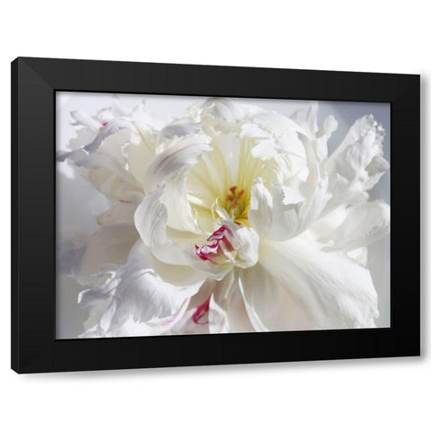 Breathless V Black Modern Wood Framed Art Print with Double Matting by Orlov, Irena