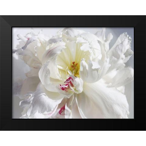 Breathless V Black Modern Wood Framed Art Print by Orlov, Irena