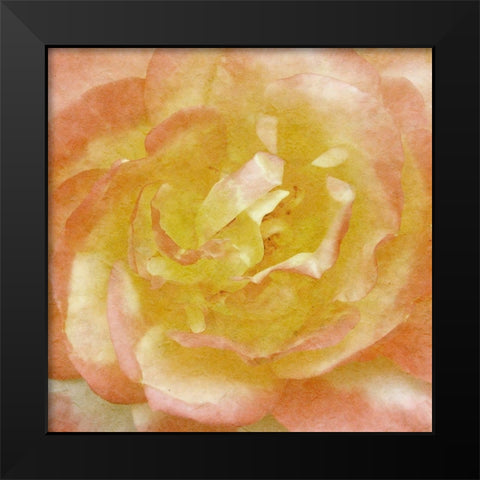 Wall Flower I Black Modern Wood Framed Art Print by Saunders, Alonzo