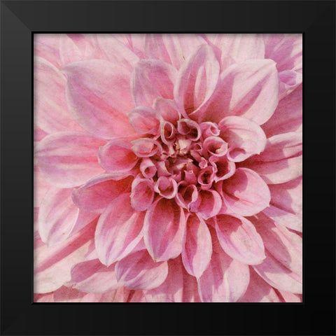 Wall Flower VII Black Modern Wood Framed Art Print by Saunders, Alonzo