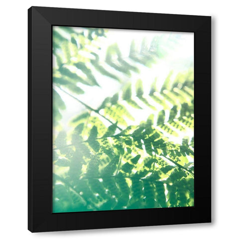 Fern Glow V Black Modern Wood Framed Art Print by Johnson, Jason