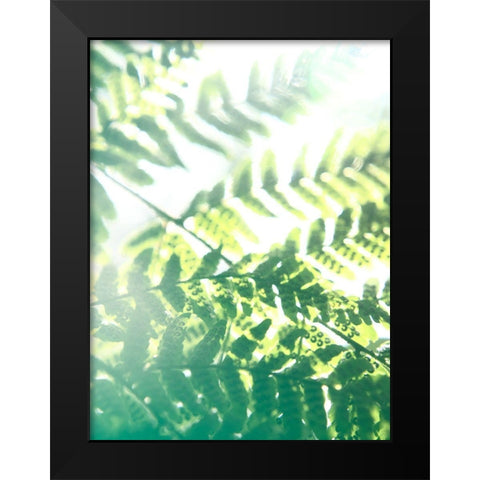 Fern Glow V Black Modern Wood Framed Art Print by Johnson, Jason