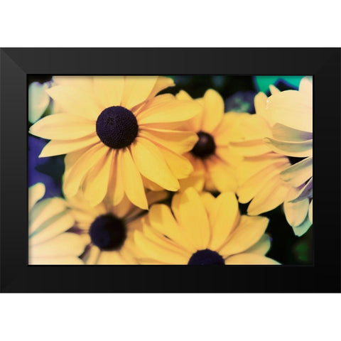 Susans I Black Modern Wood Framed Art Print by Johnson, Jason