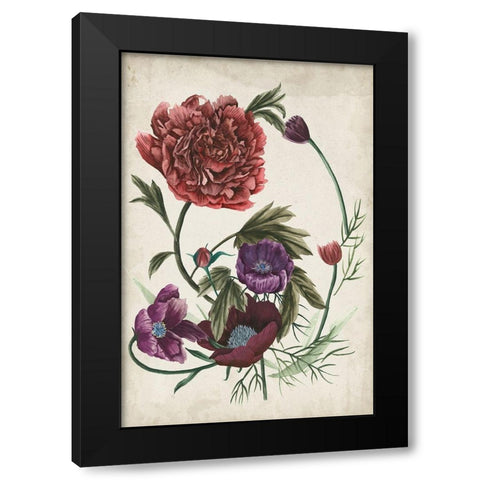 Antique Peony I Black Modern Wood Framed Art Print with Double Matting by Wang, Melissa