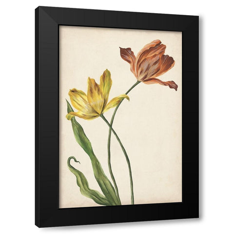 Two Tulips I Black Modern Wood Framed Art Print with Double Matting by Wang, Melissa