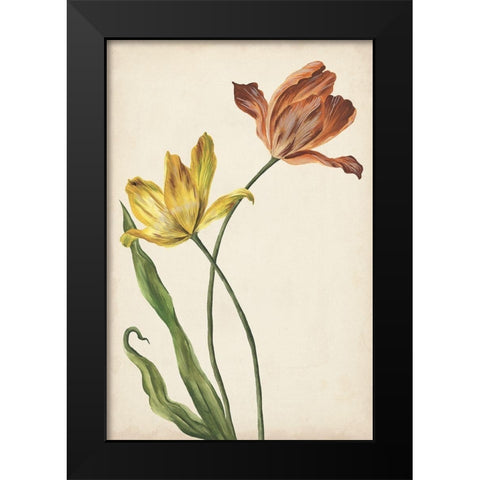 Two Tulips I Black Modern Wood Framed Art Print by Wang, Melissa