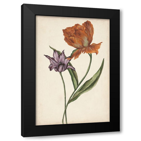 Two Tulips II Black Modern Wood Framed Art Print with Double Matting by Wang, Melissa