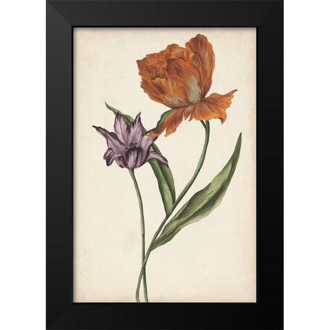 Two Tulips II Black Modern Wood Framed Art Print by Wang, Melissa