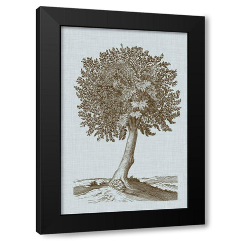 Antique Tree in Sepia I Black Modern Wood Framed Art Print with Double Matting by Vision Studio