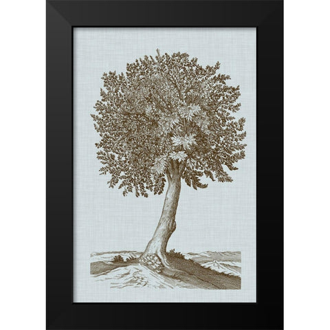 Antique Tree in Sepia I Black Modern Wood Framed Art Print by Vision Studio