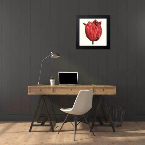 Tulip Garden II Black Modern Wood Framed Art Print by Vision Studio