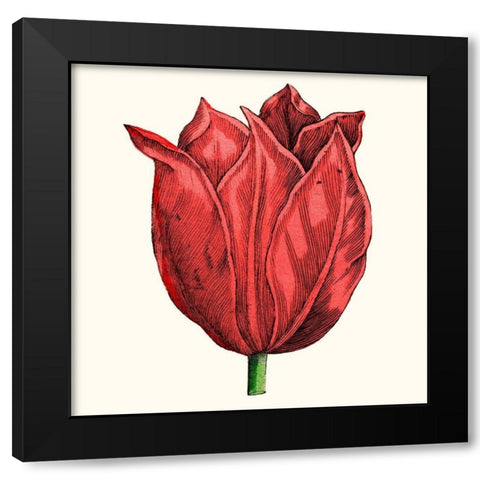 Tulip Garden II Black Modern Wood Framed Art Print with Double Matting by Vision Studio