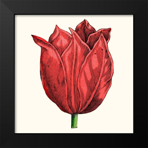 Tulip Garden II Black Modern Wood Framed Art Print by Vision Studio