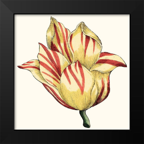 Tulip Garden III Black Modern Wood Framed Art Print by Vision Studio