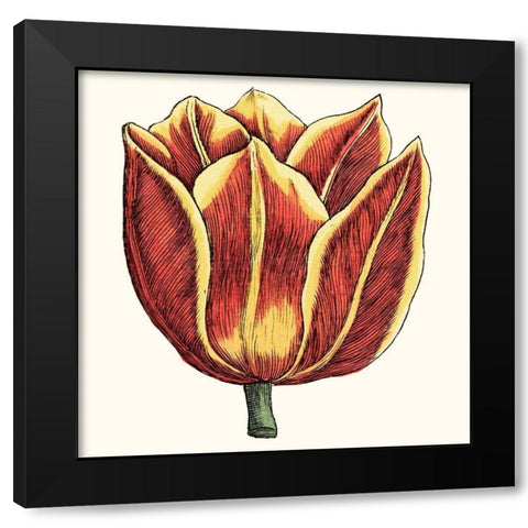Tulip Garden IV Black Modern Wood Framed Art Print with Double Matting by Vision Studio